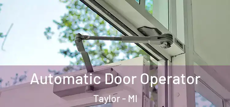 Automatic Door Operator Taylor - MI