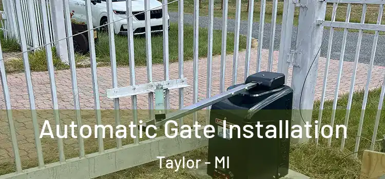 Automatic Gate Installation Taylor - MI