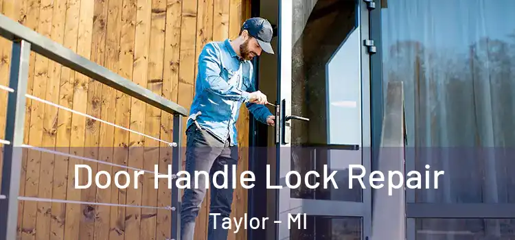 Door Handle Lock Repair Taylor - MI