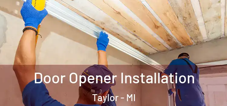 Door Opener Installation Taylor - MI