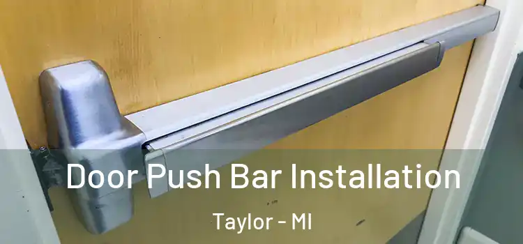 Door Push Bar Installation Taylor - MI