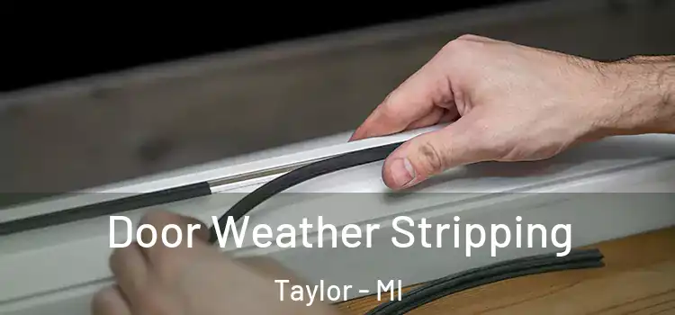 Door Weather Stripping Taylor - MI