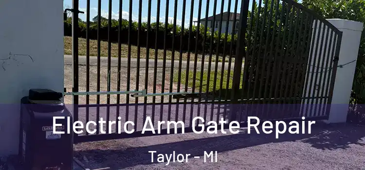 Electric Arm Gate Repair Taylor - MI