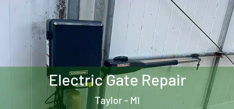 Electric Gate Repair Taylor - MI