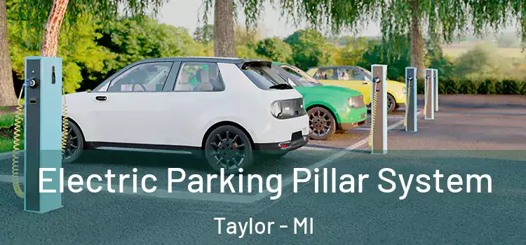 Electric Parking Pillar System Taylor - MI