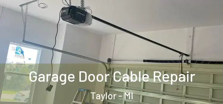  Garage Door Cable Repair Taylor - MI