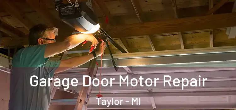  Garage Door Motor Repair Taylor - MI