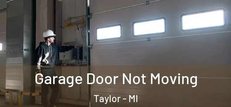  Garage Door Not Moving Taylor - MI