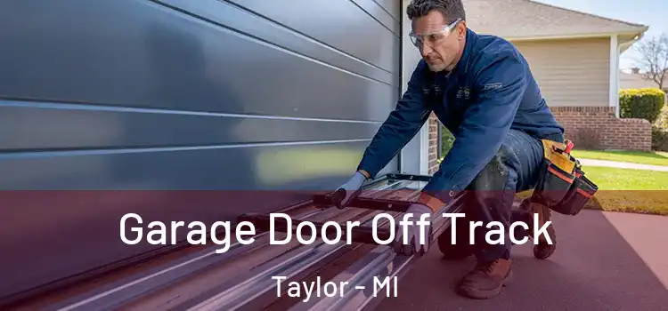  Garage Door Off Track Taylor - MI