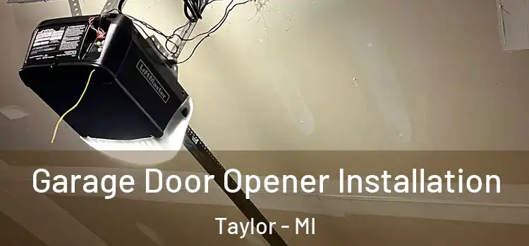  Garage Door Opener Installation Taylor - MI