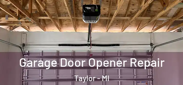  Garage Door Opener Repair Taylor - MI