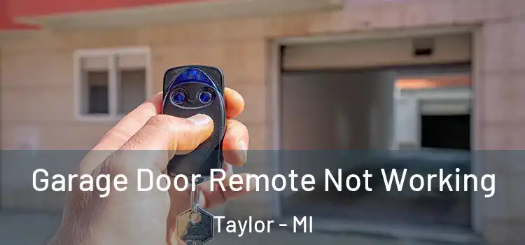  Garage Door Remote Not Working Taylor - MI