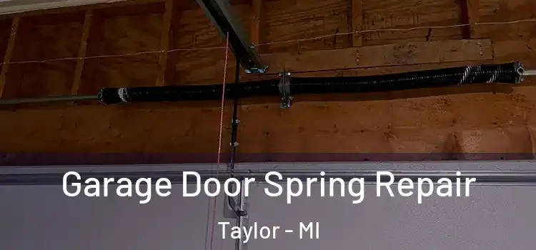  Garage Door Spring Repair Taylor - MI
