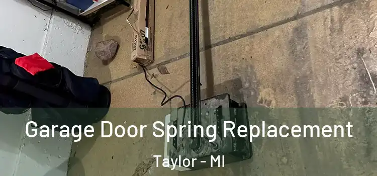  Garage Door Spring Replacement Taylor - MI