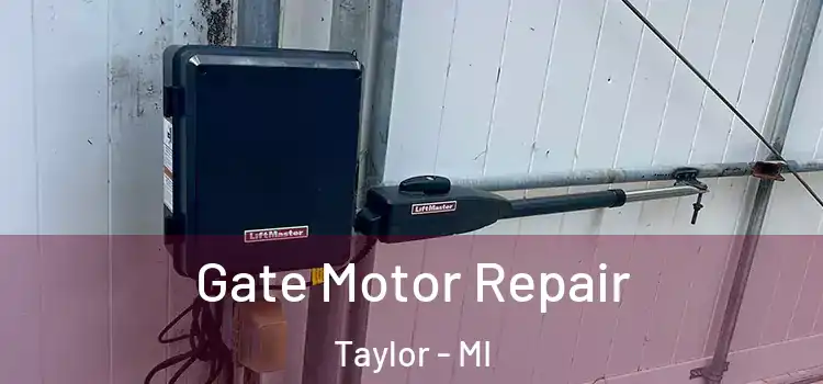 Gate Motor Repair Taylor - MI