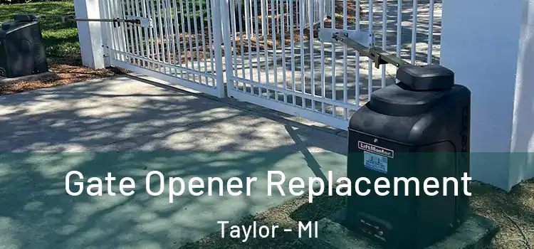 Gate Opener Replacement Taylor - MI