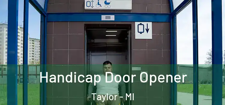 Handicap Door Opener Taylor - MI