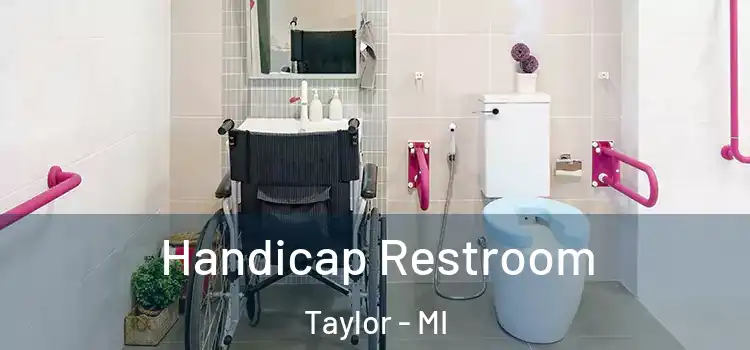 Handicap Restroom Taylor - MI
