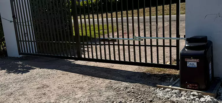 Solar Swing Gate Opener Taylor