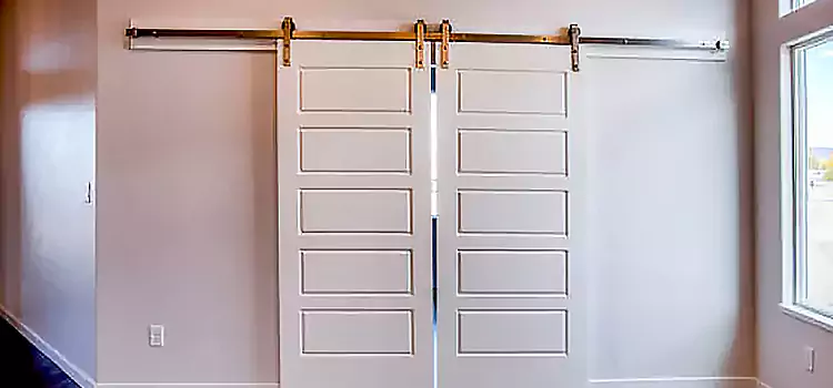 Glass Barn Door with Installation Hardware Kit Taylor