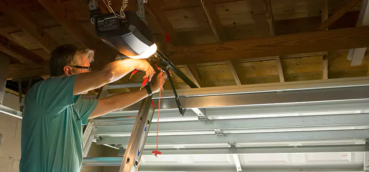 Garage Door Opener Sales and Installation Taylor