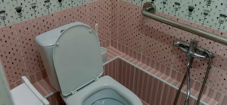 Meeting Diverse Needs With Accessible Restroom Solutions in Taylor, MI
