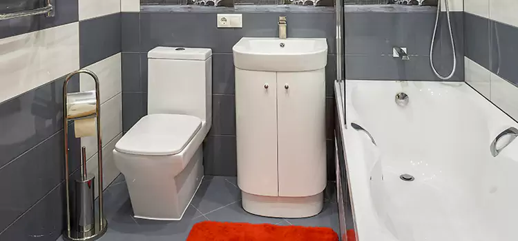 Hansgrohe Shaving Mirror Taylor