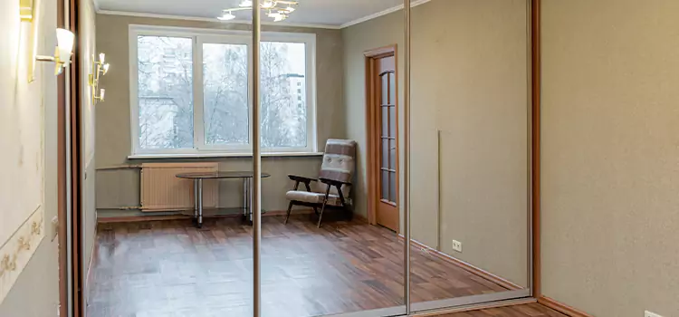 Mirror Closet Door Roller Replacement Taylor