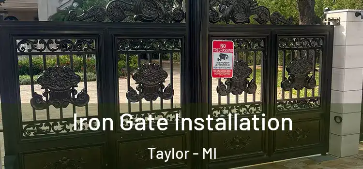 Iron Gate Installation Taylor - MI