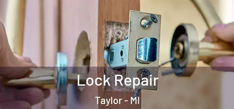 Lock Repair Taylor - MI