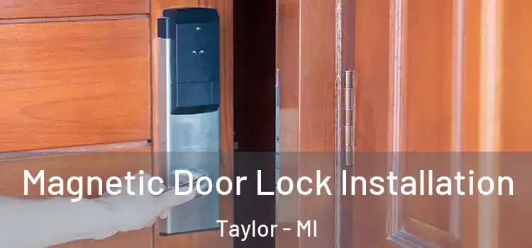  Magnetic Door Lock Installation Taylor - MI