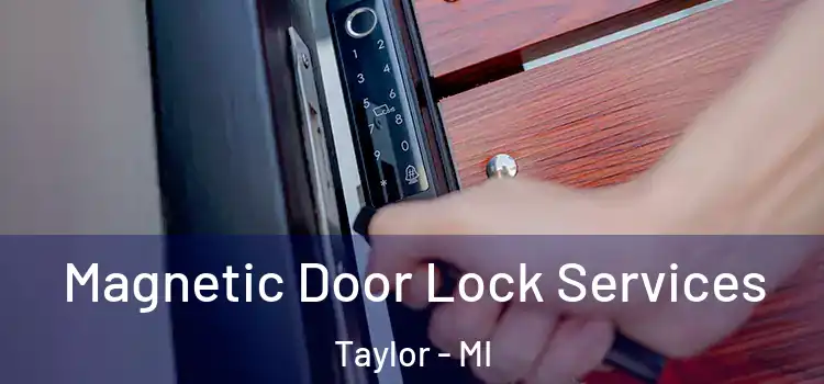 Magnetic Door Lock Services Taylor - MI