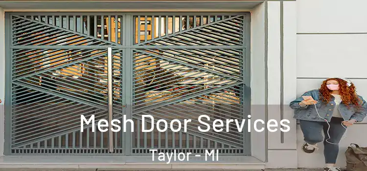 Mesh Door Services Taylor - MI