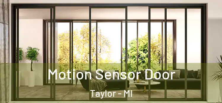 Motion Sensor Door Taylor - MI