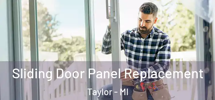  Sliding Door Panel Replacement Taylor - MI