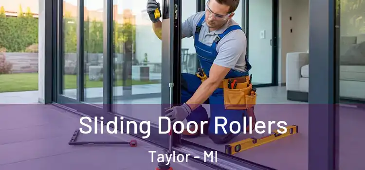 Sliding Door Rollers Taylor - MI
