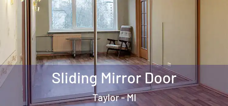  Sliding Mirror Door Taylor - MI