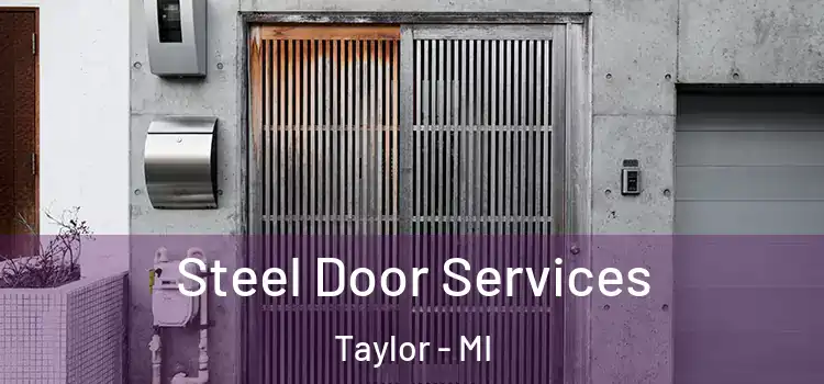 Steel Door Services Taylor - MI